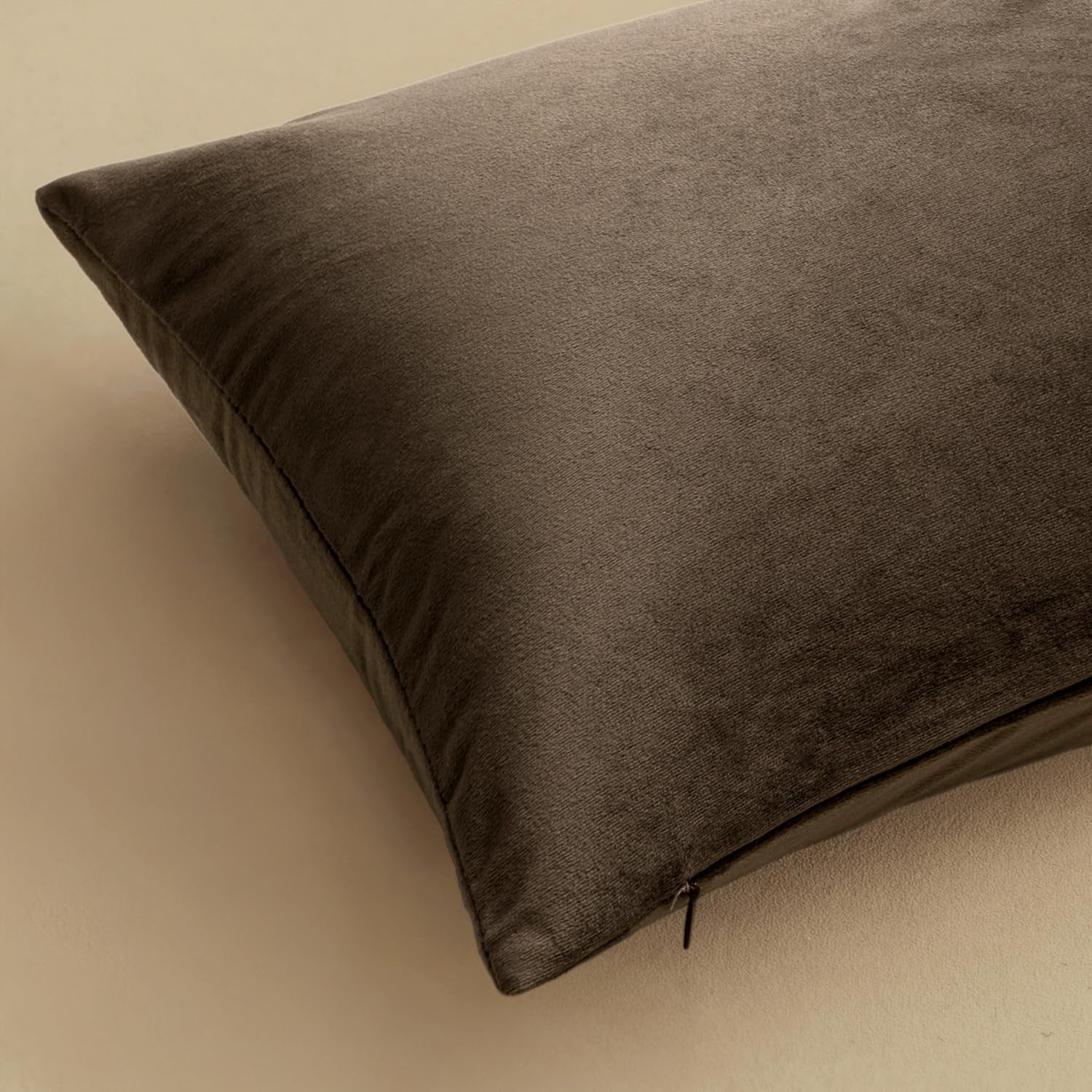 Velvet Throw Pillow Covers 18X18 Inch, Pack of 2 - Coffee, Super Soft Decorative Square Cushion Cases Modern Luxury Home Decor for Sofa,Couch,Bed,Chair