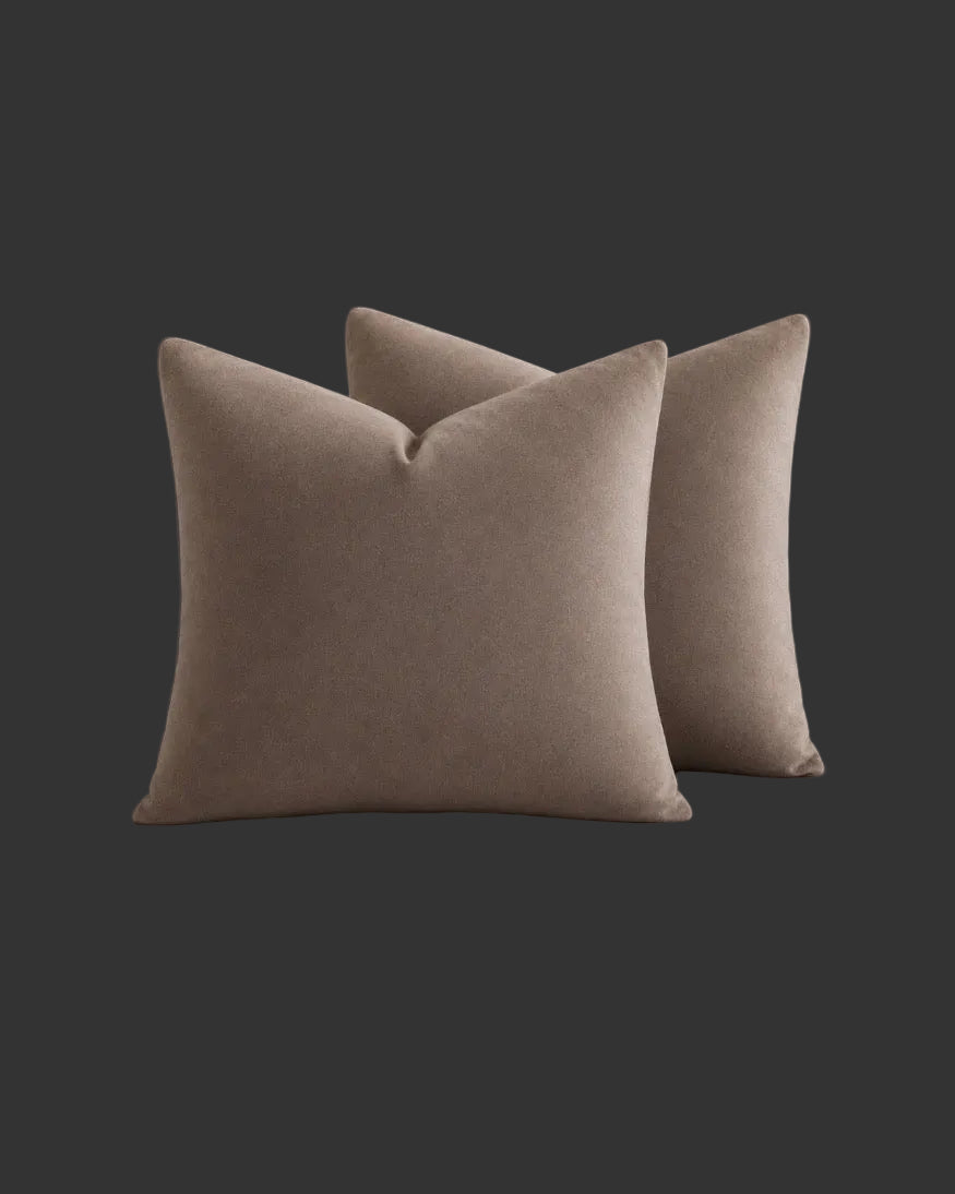 Velvet Throw Pillow Covers 18X18 Inch, Pack of 2 - Coffee, Super Soft Decorative Square Cushion Cases Modern Luxury Home Decor for Sofa,Couch,Bed,Chair