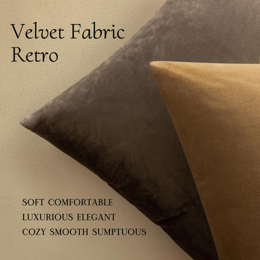 Velvet Throw Pillow Covers 18X18 Inch, Pack of 2 - Coffee, Super Soft Decorative Square Cushion Cases Modern Luxury Home Decor for Sofa,Couch,Bed,Chair